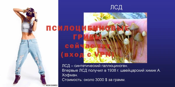 экстази Осташков