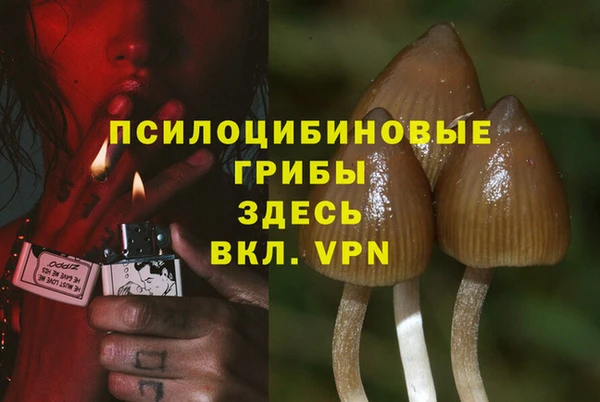 кокс Няндома
