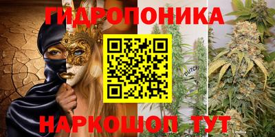 молекула духа Гагарин