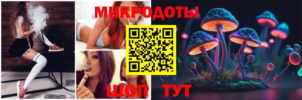 Псилоцибиновые грибы Psilocybe Кашира