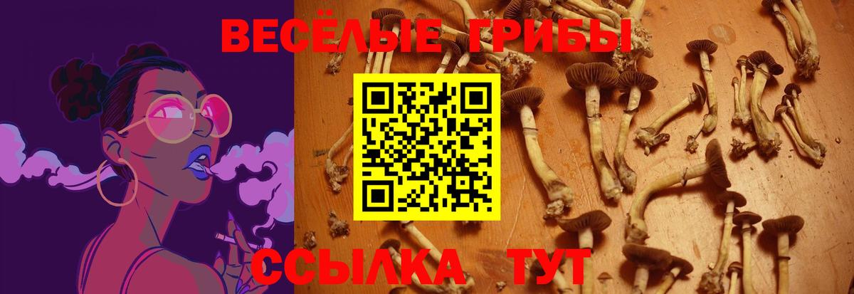 Галлюциногенные грибы прущие грибы  Вход с VPN  Кашира  Галлюциногенные грибы GOLDEN TEACHER 